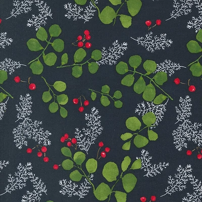 Patchworková tkanina - Moda - Winterly by Robin Pickens 48764-19