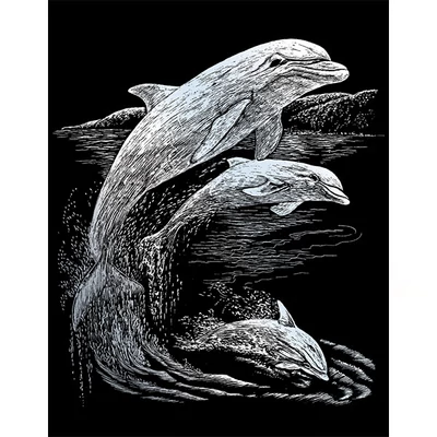 Sada na gravírovanie obrázkov s rysovacou ihlou, 20x25 cm - Delfíny, strieborná