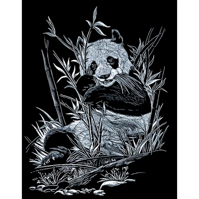 Sada na gravírovanie obrázkov s rysovacou ihlou, 20x25 cm - Panda, strieborná