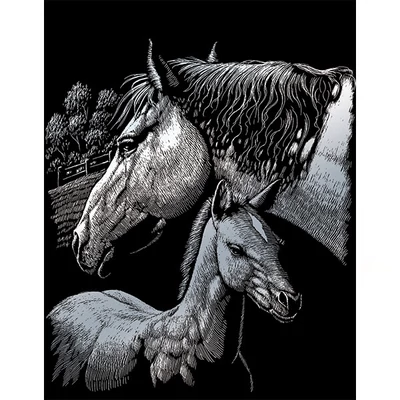 Sada na gravírovanie obrázkov s rysovacou ihlou, 20x25 cm - Kone, strieborná