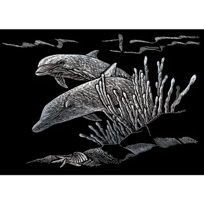 Sada na gravírovanie obrázkov s rysovacou ihlou, 12x18 cm - Delfíny, strieborná