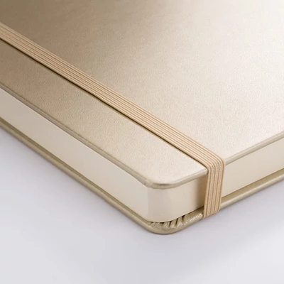 Náčrtník a skicár Talens Art Creation Sketch Book, 140 g, 80 listov - A5 na šírku, farba bieleho zlata