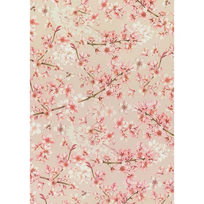 Papier na decoupage Tassotti - čerešňové kvety