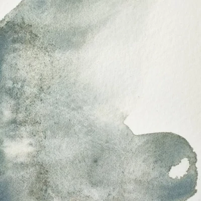 Akvarelová farba Winsor&amp;Newton Professional, 1/2 panvičky - 427, mineral grey