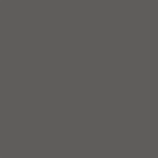 Obojstranný alkoholový popisovač Promarker Brush - CG5, cool grey 5