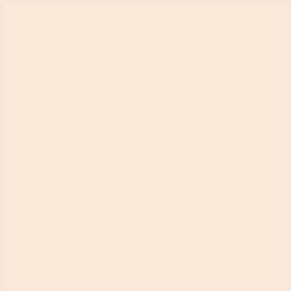 Obojstranný alkoholový popisovač Promarker Brush - O819, almond