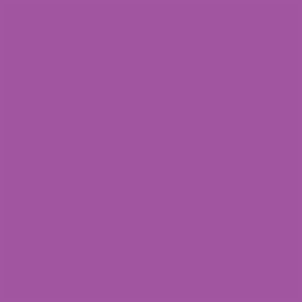 Obojstranný alkoholový popisovač Promarker Brush - V546, purple