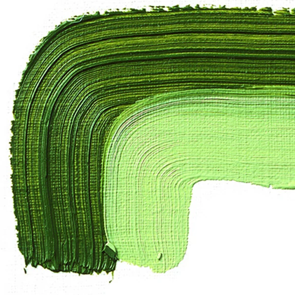 Olejová farba Schmincke Akademie, 60 ml - 504, green earth
