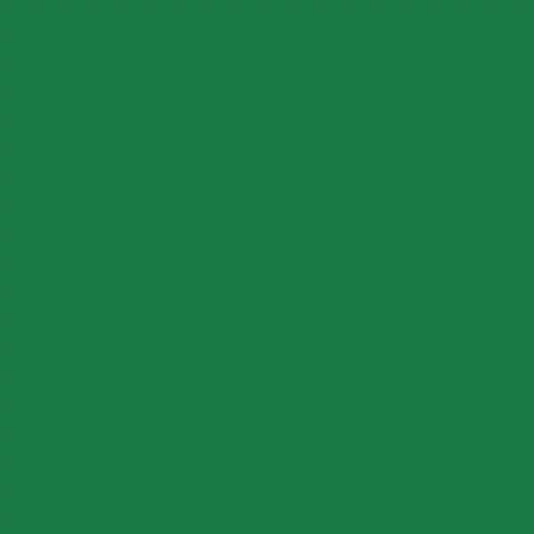 Olejová farba Talens Rembrandt, 40 ml - 619, permanent green deep