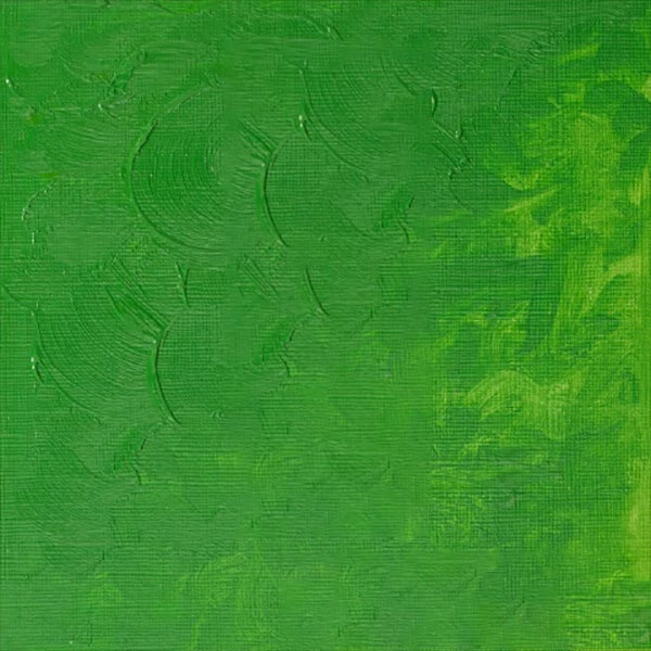 Olejová farba Winsor&Newton Winton, 37 ml - 483, permanent green light