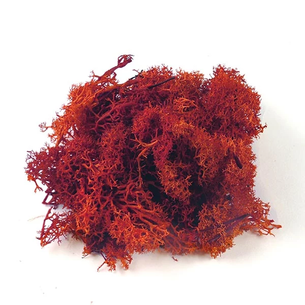 Suché plody- Islandský mach, červený, 25 g