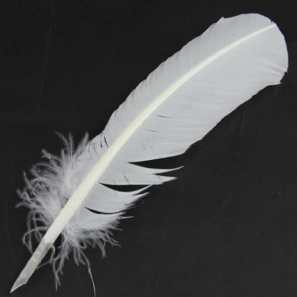 J. Herbin, husacie pero pre atrament, 21 cm - biele