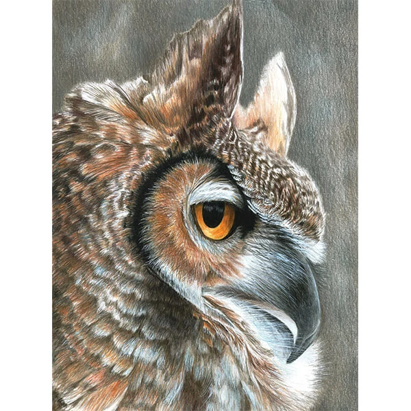 Číslovaná omaľovánka v sade, farebné ceruzky+strúhadlo, 22x30 cm - Sova