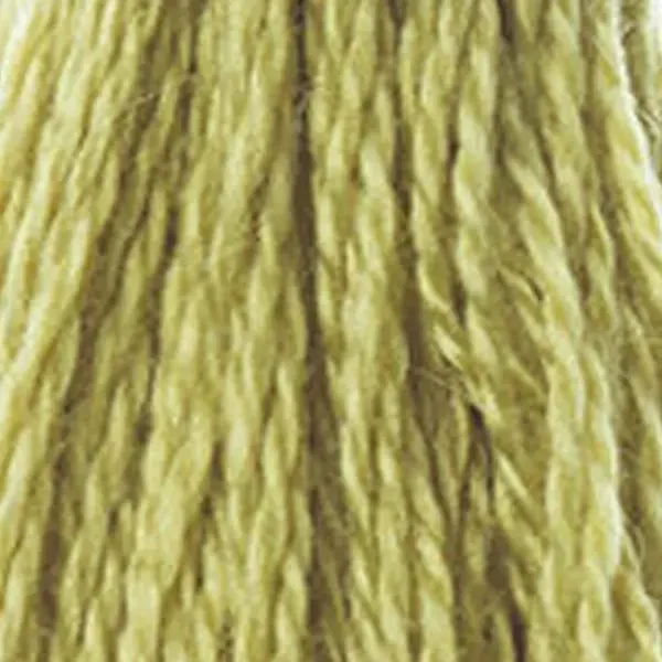 Vyšívacia niť, DMC Mouliné (rozdelená, 6 vlákien), 8 m - 284-734, Olive Green - LT