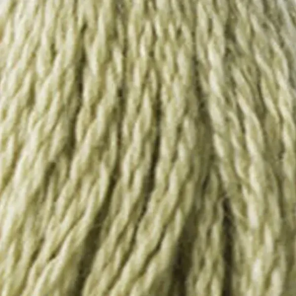 Vyšívacia niť, DMC Mouliné (rozdelená, 6 vlákien), 8 m - 288-3013, Khaki Green - LT