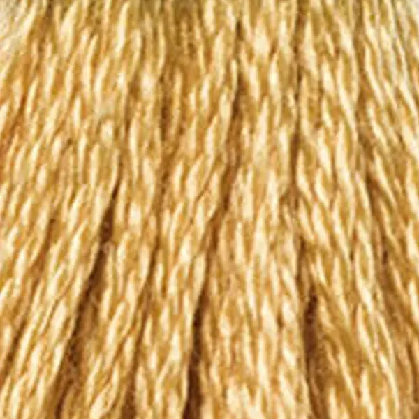 Vyšívacia niť, DMC Mouliné (rozdelená, 6 vlákien), 8 m - 334-977, Golden Brown - LT