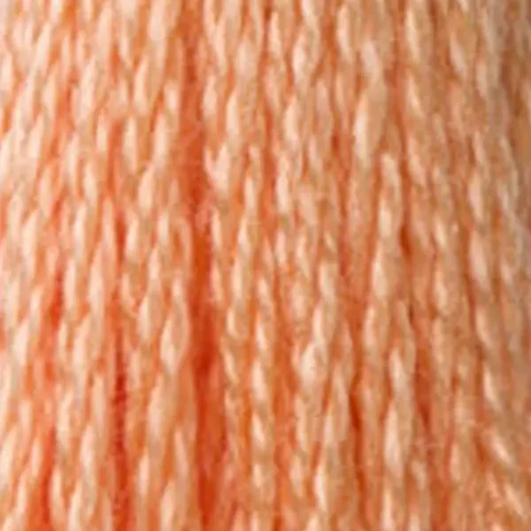 Vyšívacia niť, DMC Mouliné (rozdelená, 6 vlákien), 8 m - 368-3825, Pumpkin - PALE