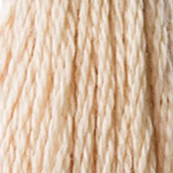 Vyšívacia niť, DMC Mouliné (rozdelená, 6 vlákien), 8 m - 375-945, Tawny