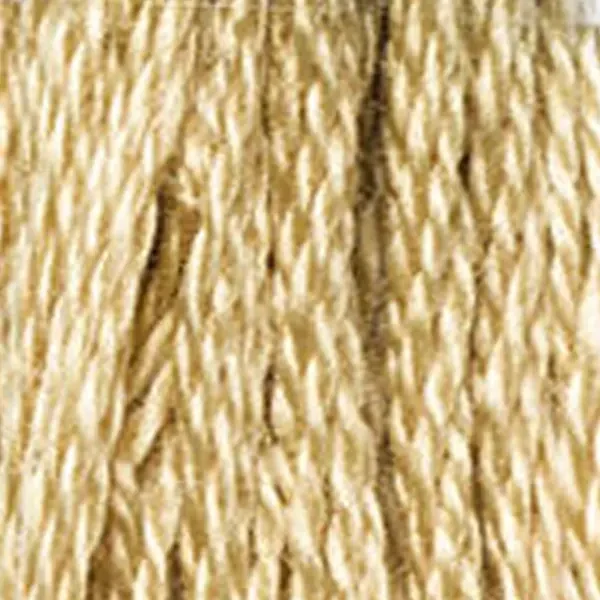 Vyšívacia niť, DMC Mouliné (rozdelená, 6 vlákien), 8 m - 420-437, Tan - LT