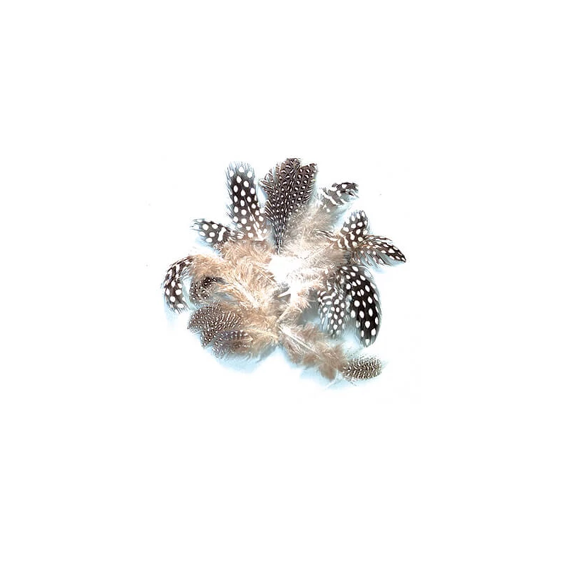 Perličkové perie, 4-8 cm, 3 g - prírodné