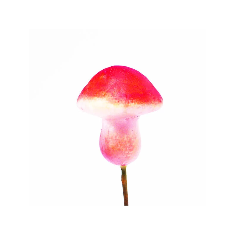 Pripínateľný hríbik - červený, 2,5 cm