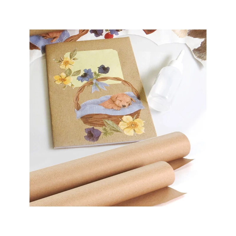 Baliaci papier natrónový, 1x10 m - 60 g, prírodný