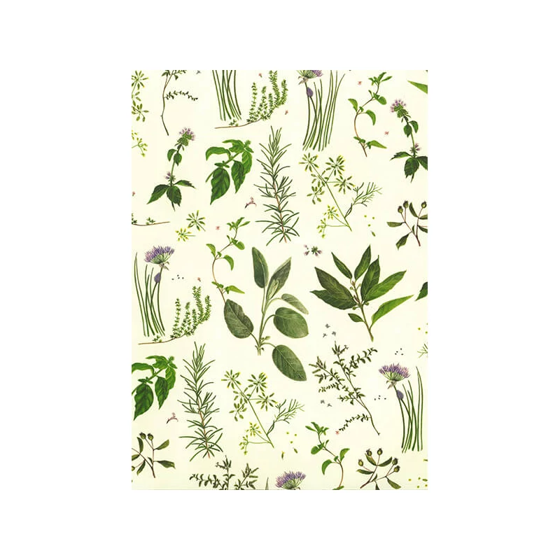 Papier na decoupage Tassotti - aromatické bylinky