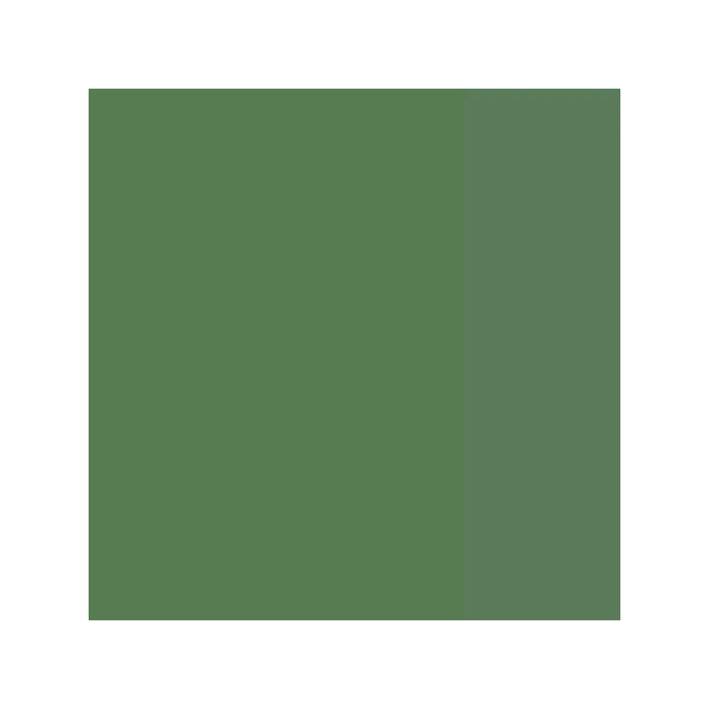 Gvašová farba L&B Linel extra fine, 14 ml - 542, chrome oxide green