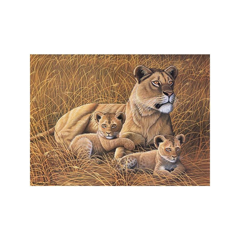 Sada očíslovaných omaľovánok, akrylová farba+štetec, 29x39 cm - Africký lev