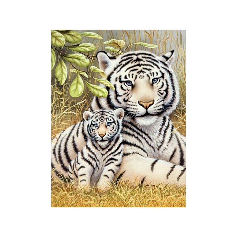 Sada očíslovaných omaľovánok, akrylová farba+štetec, 22x30 cm - Tiger