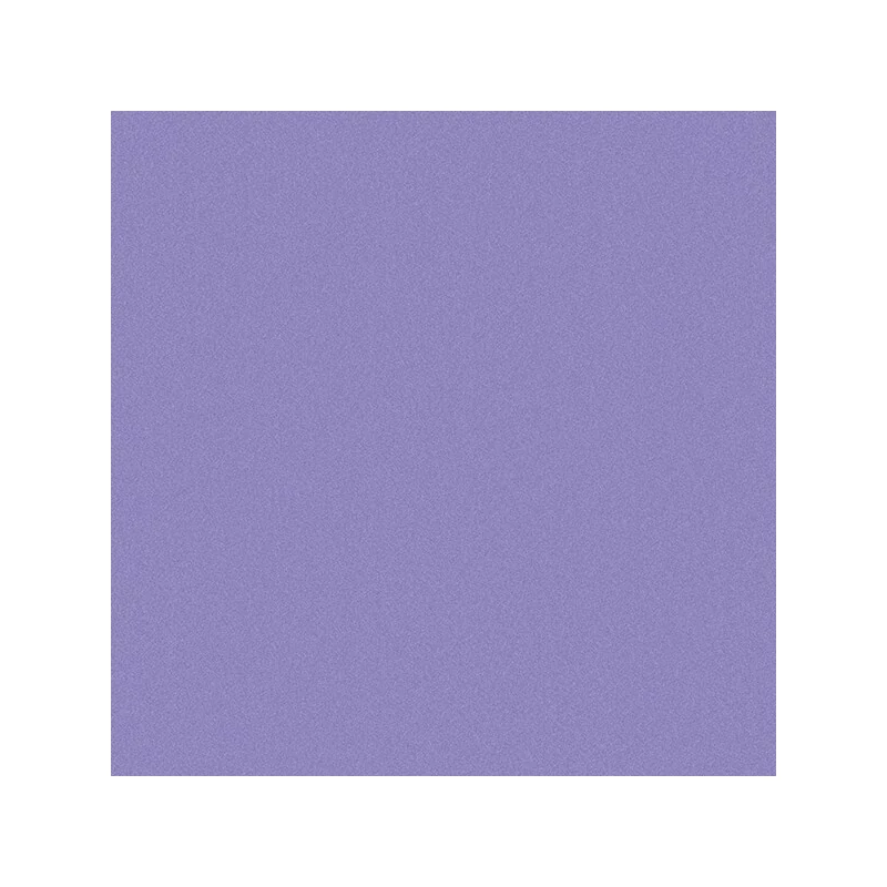 Obojstranný alkoholový popisovač ProMarker Metallic - violet