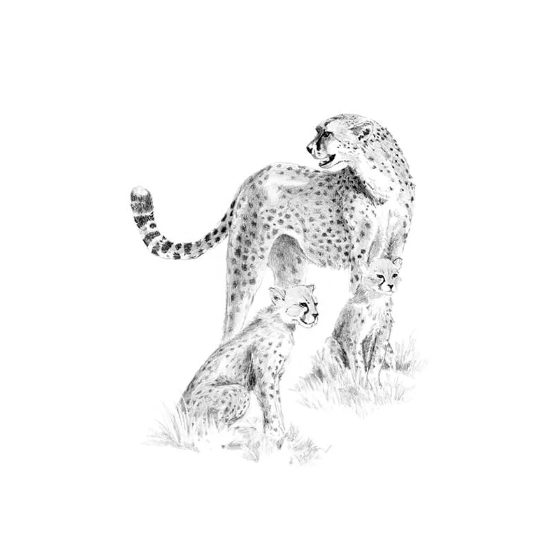 Sada nástrojov na kreslenie náčrtov s grafickými nástrojmi, 22x30 cm - Gepard