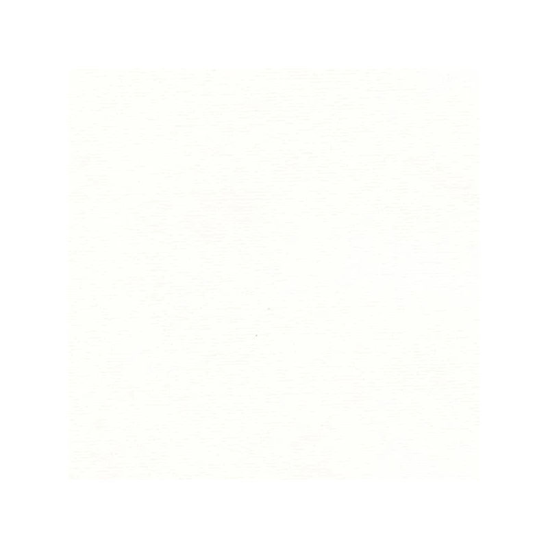 Papier Hahnemühle Ingres, 100 g, 48x62,5 cm - 250 bright white