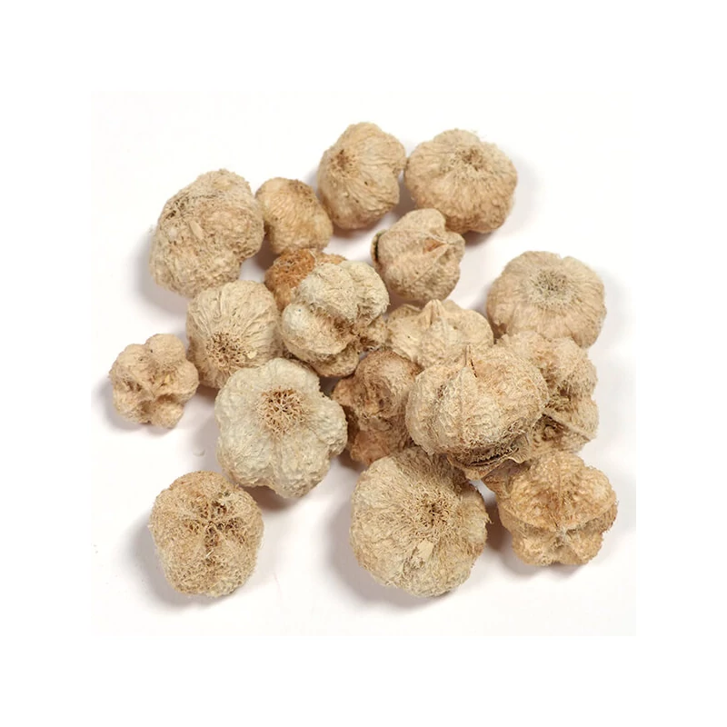 Suché plody - Fokhagyma termés, fehérített, 35 g