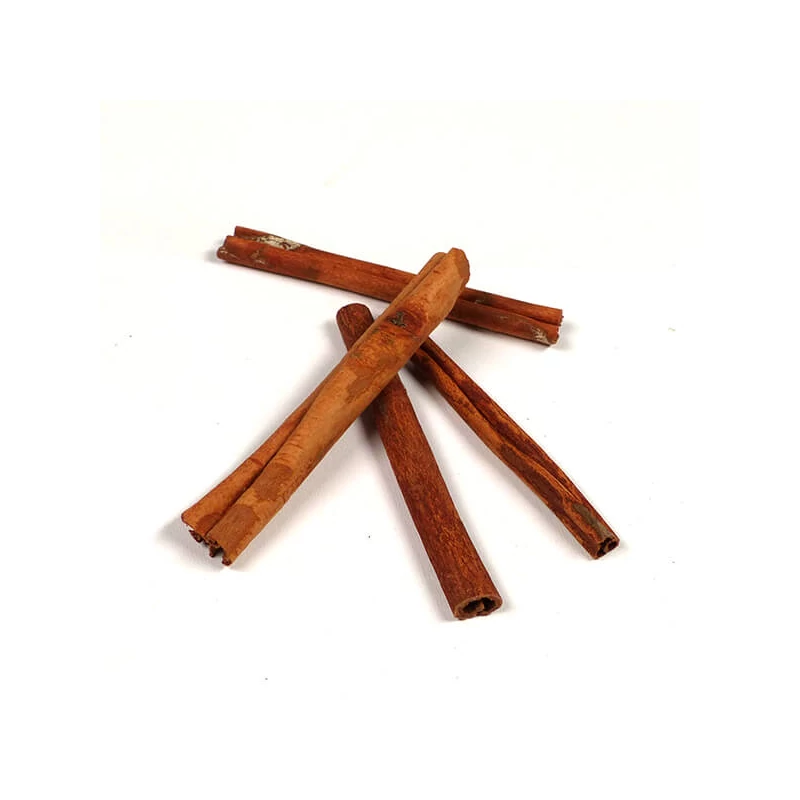 Suché plody- Škorica, 10 cm, 4 ks