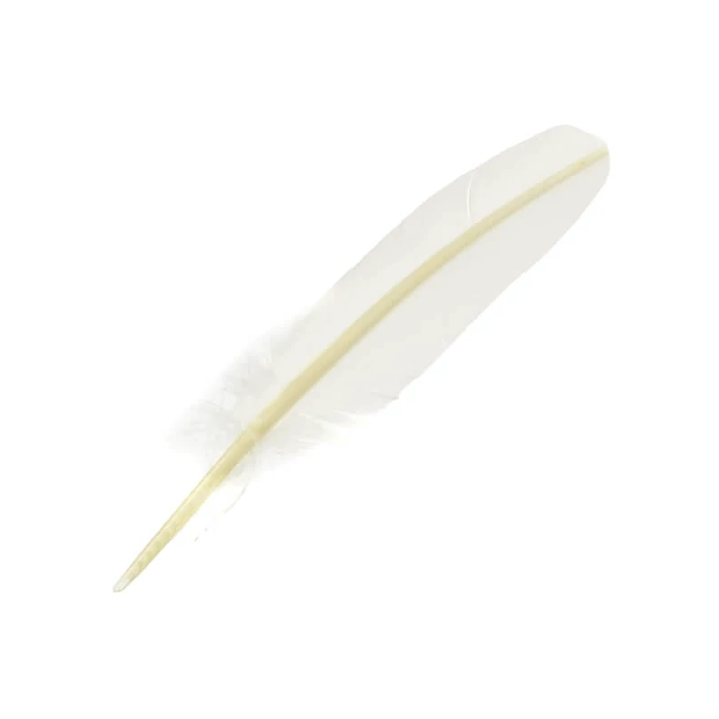 J. Herbin, husacie pero pre atrament, 21 cm - biele