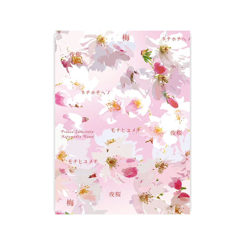 Priehľadný papier, A4 - Hanami