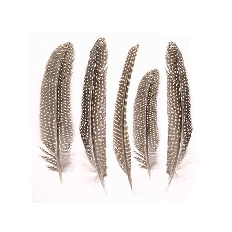Perličkové perie, 16-19 cm, 5 ks - prírodné