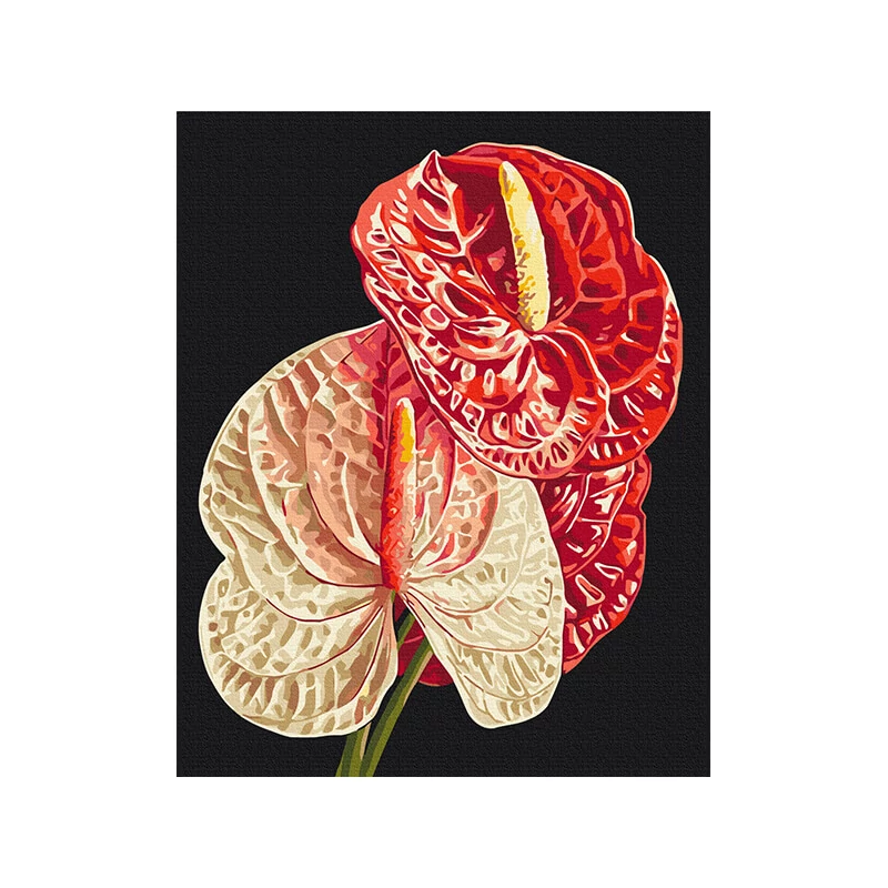 Číslovaná omaľovánka v sade, na napnutom plátne, 40x50 cm - Anastasiia Osmolovska: Plamenník