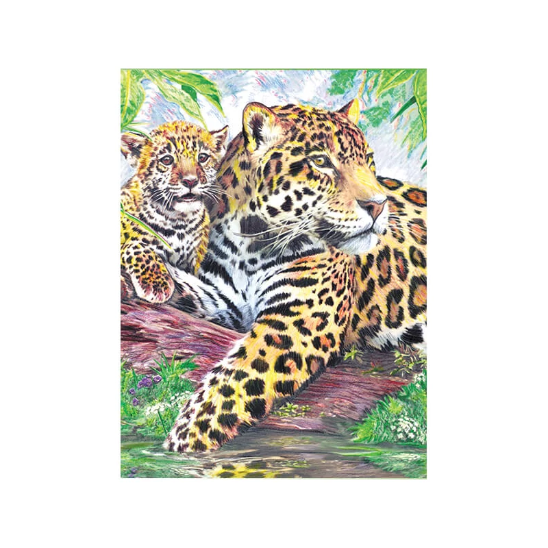 Číslovaná omaľovánka v sade, farebné ceruzky+strúhadlo, 22x30 cm - Jaguar