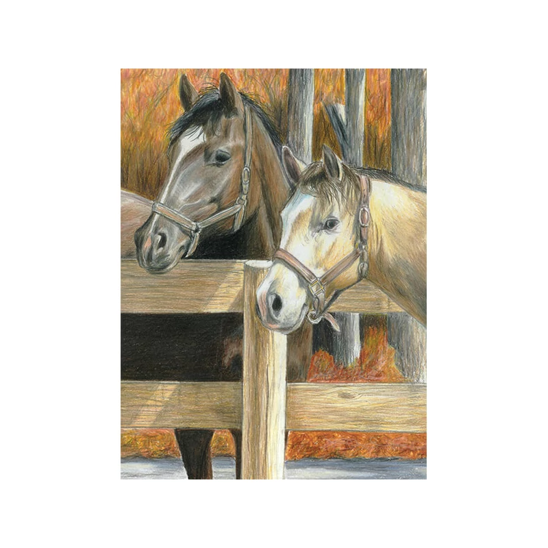 Číslovaná omaľovánka v sade, farebné ceruzky+strúhadlo, 22x30 cm - Kone