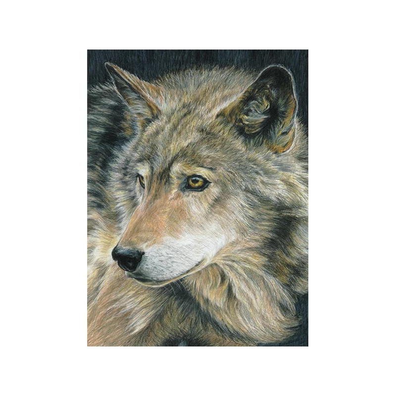 Číslovaná omaľovánka v sade, farebné ceruzky+strúhadlo, 22x30 cm - Vlk
