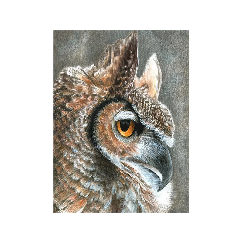 Číslovaná omaľovánka v sade, farebné ceruzky+strúhadlo, 22x30 cm - Sova