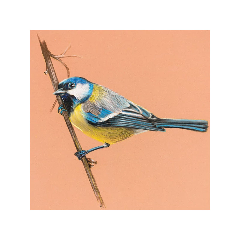 Sada pasteliek Cretacolor Fine Art Pastel, 7 kusov