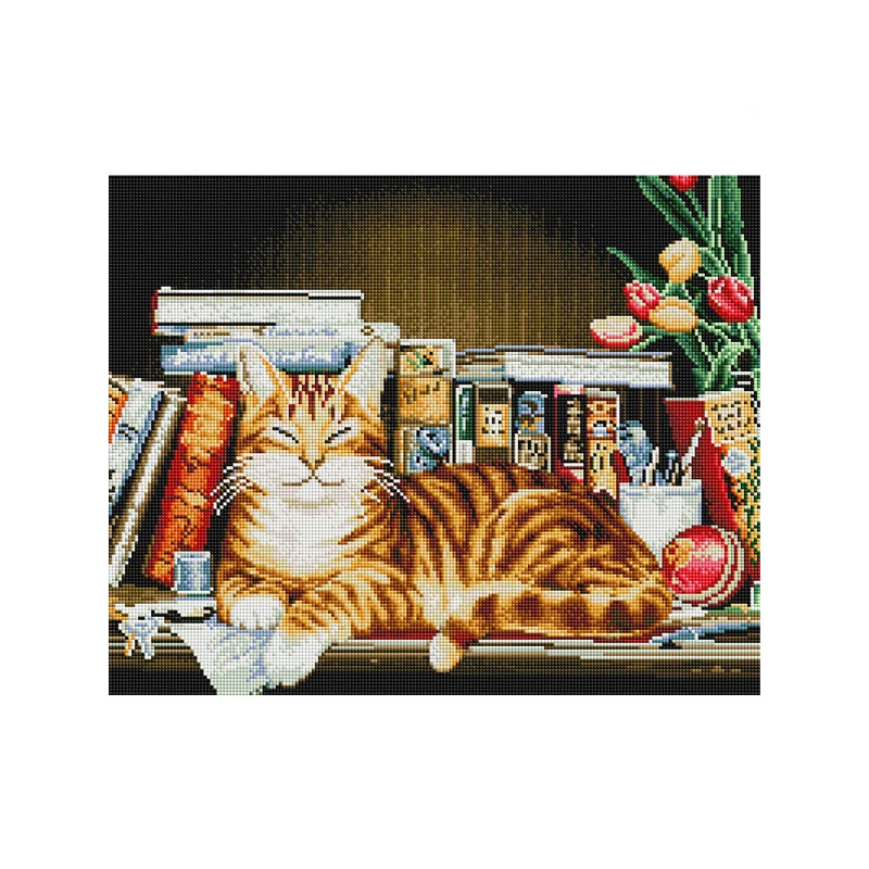 Diamantové mozaikové puzzle, na napnutom plátne, 40x50 cm - Mačka na regáli na knihy
