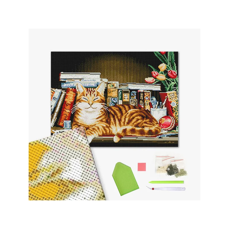 Diamantové mozaikové puzzle, na napnutom plátne, 40x50 cm - Mačka na regáli na knihy