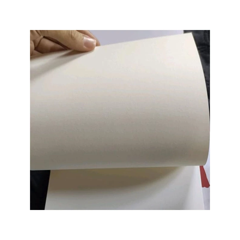 Náčrtník, skicár a blok na maľovanie Hahnemühle Concept, 220 g, 20 listov - A4