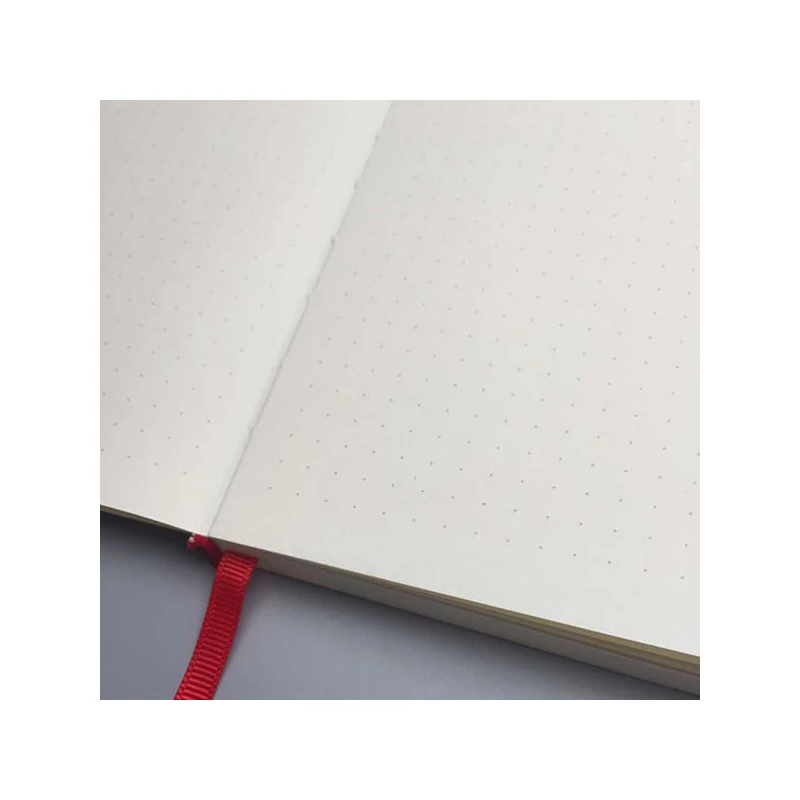 Zápisník Hahnemühle DiaryFlex, 100 g, 10,4x18,2 cm, bodkovaný