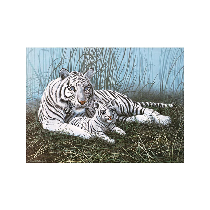 Sada očíslovaných omaľovánok, akrylová farba+štetec, 29x39 cm - Biely tiger
