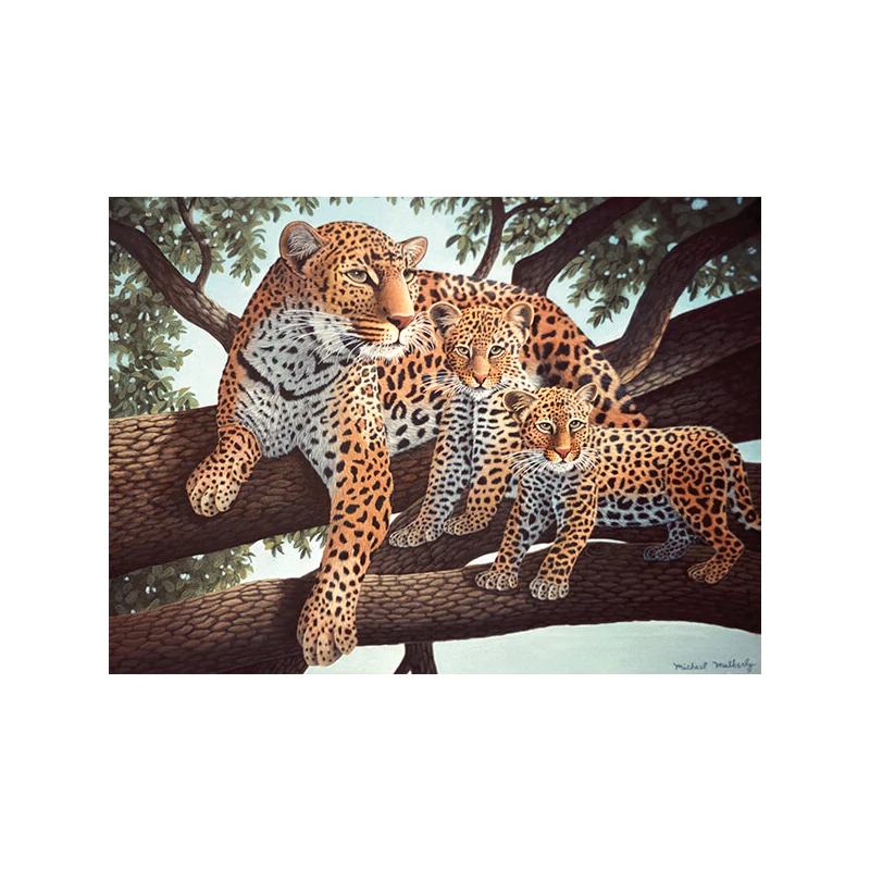 Sada očíslovaných omaľovánok, akrylová farba+štetec, 29x39 cm - Africký leopard